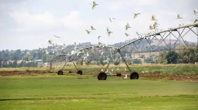 Fitar da kayan noma daga Afirka ta Kudu ya kai matsayi mafi girma yayin da take ɗaukar matakai da dama don rage tasirin harajin Amurka.